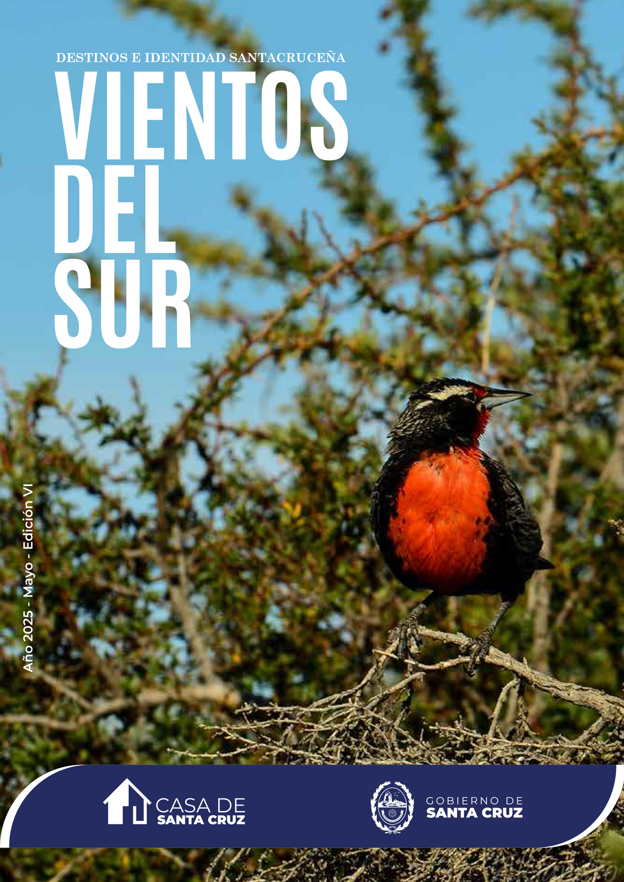 VIENTOS DE SUR - EDICIÓN Nº6