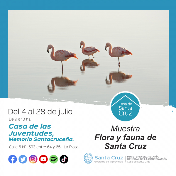 Casa de Las Juventudes inaugura la muestra “Flora y fauna de Santa Cruz”